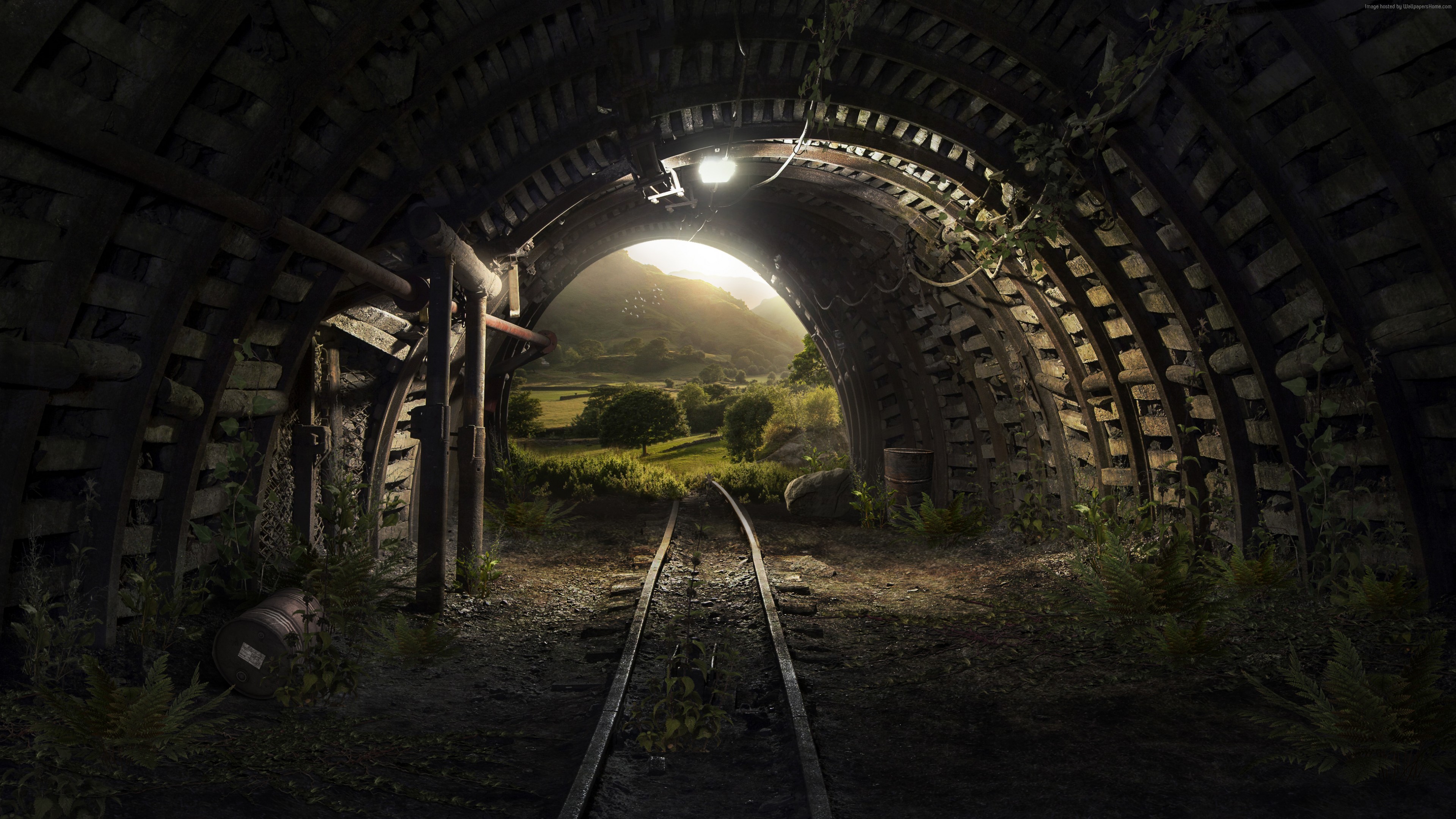 Stock Images tunnel, nature, 4k, Stock Images